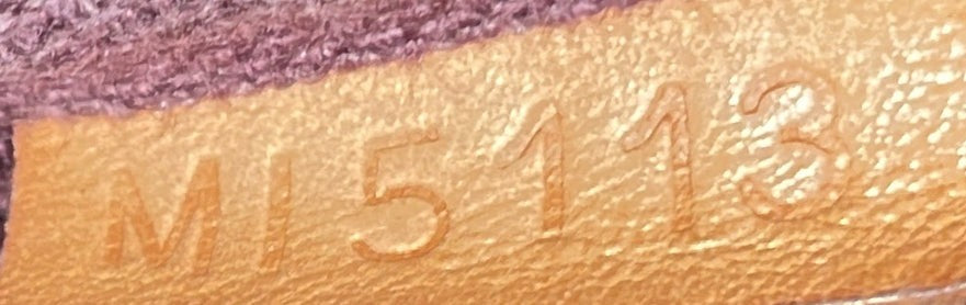 Louis Vuitton Favorite Handbag Monogram Canvas Pm