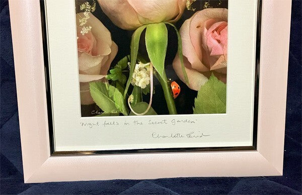 Charlotte Bird (Uk) Photograph Print Fairy Rose