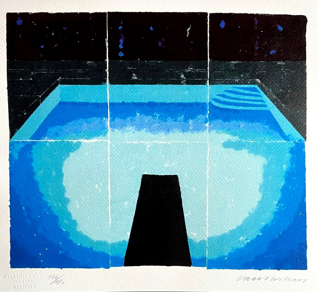 David Hockney Lithograph 'Midnight' Coa Signed (Hand Numbered Limited Edition)