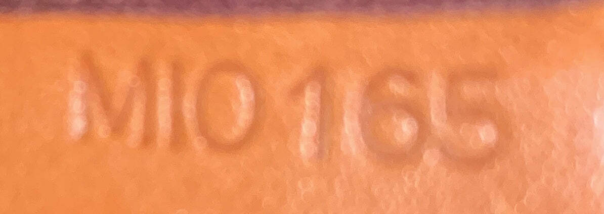 Louis Vuitton Favorite Handbag Monogram Canvas Pm