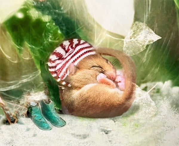 Charlotte Bird (Uk) Photograph Print "Fairy