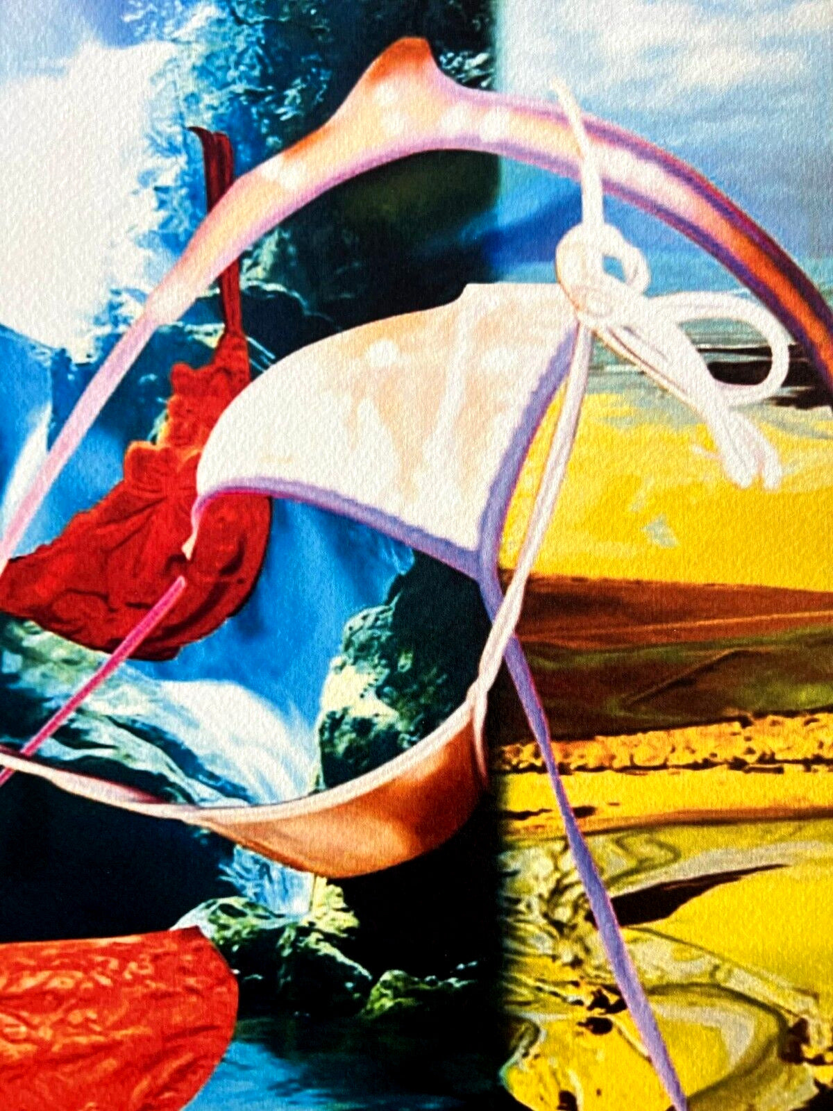 Jeff Koons Lithograph Mori Museum Coa Numbered