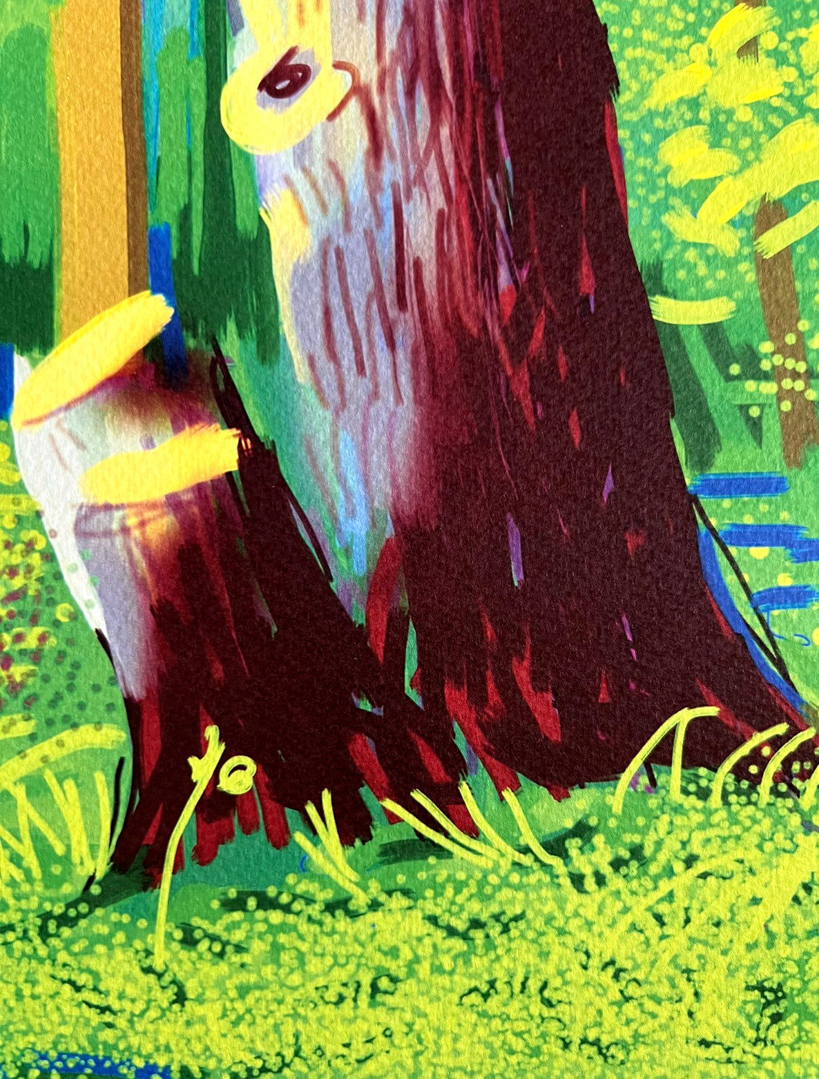 David Hockney Lithograph Coa Signed Op Numbered A