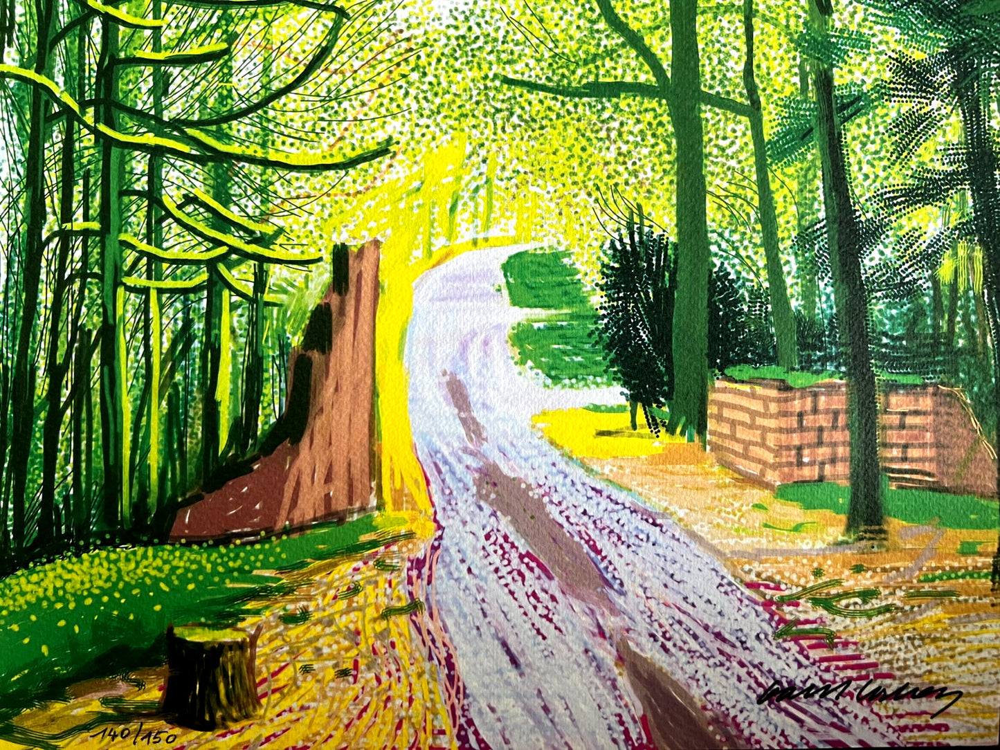 David Hockney Lithograph Coa Signed Op Numbered