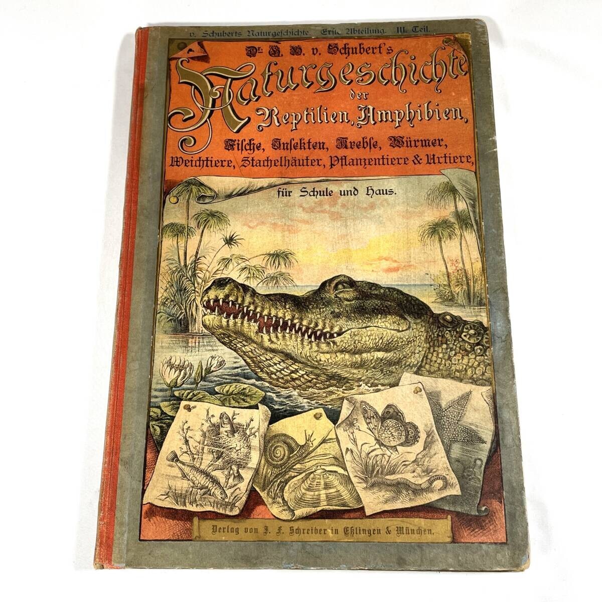 1886 Natural History By Dr. G.H. V. Schubert, 1St