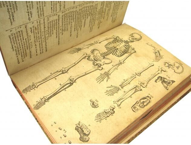 Syntagma Anatomicum Rare 17Th Medical Anatomy