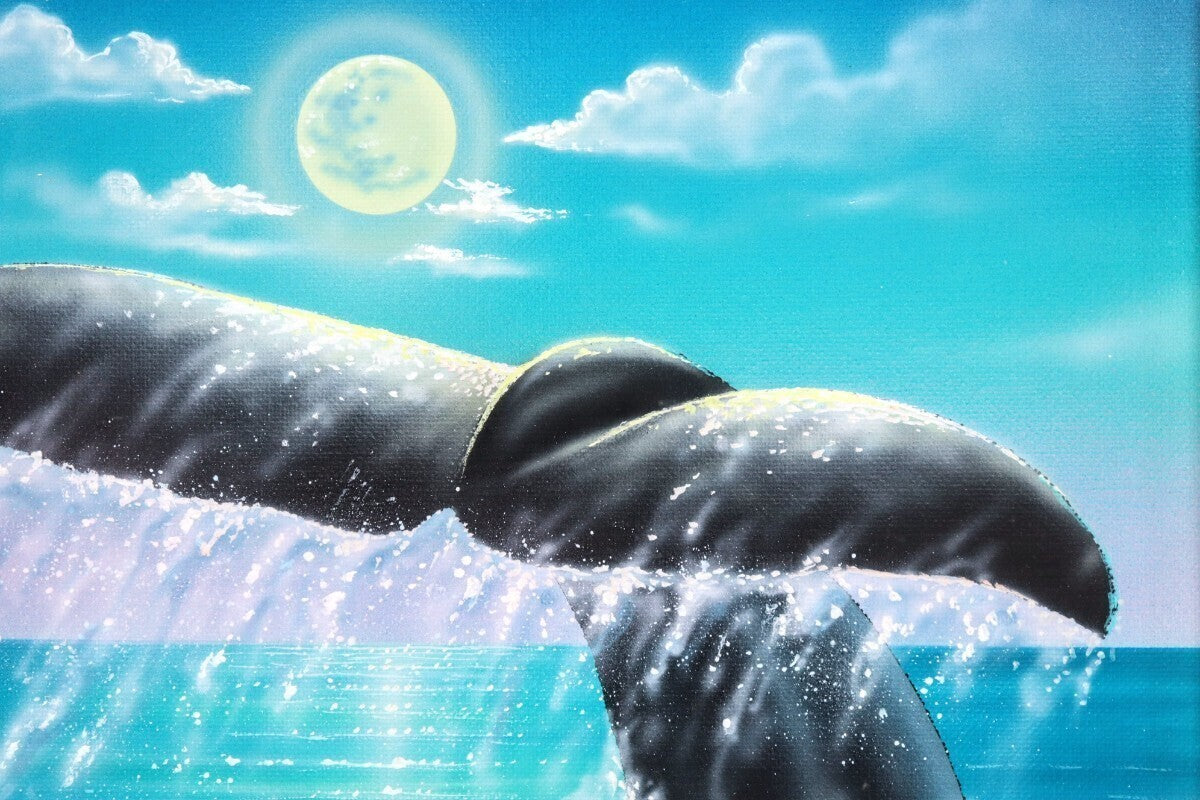 Jeff Wilkie (Us) Signed Original Painting Acrylic On Canvas - Whale Marine Art