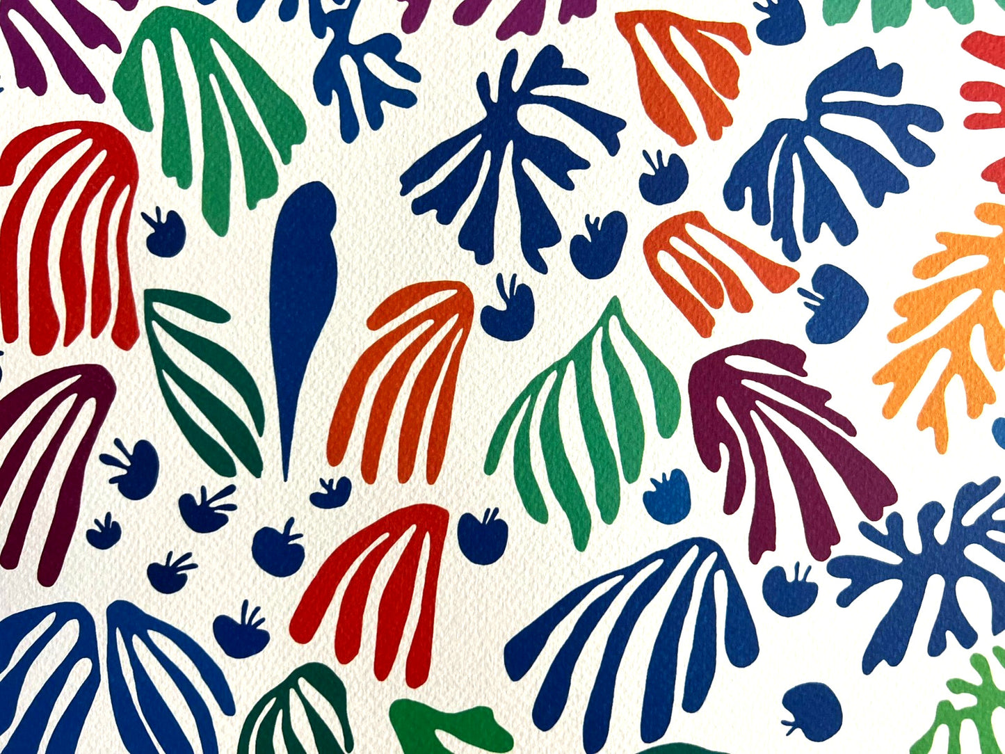 Henri Matisse Lithograph Coa Signed Op Numbered In Pencil