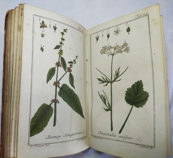 Johannes Zorn Icones Plantarum Medicinalium Vol Ii 1784 2Nd Ed Hand-Colored