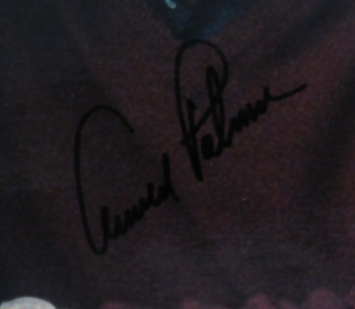 Jack Nicklaus/Arnold Palmer