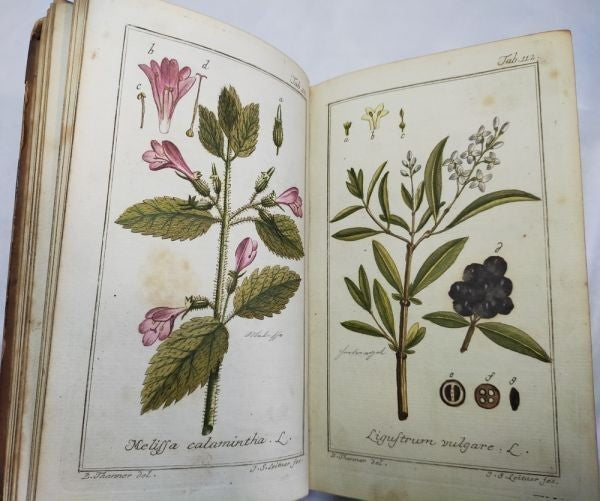 Johannes Zorn Icones Plantarum Medicinalium Vol Ii 1784 2Nd Ed Hand-Colored