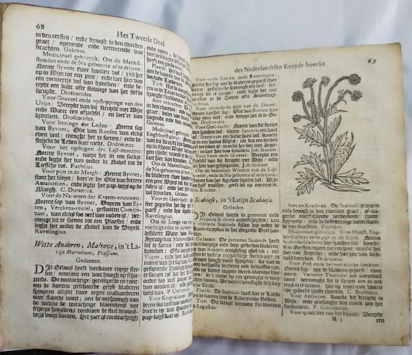 Petrus Nylandt De Nederlandtse Herbarius Kruydt-Boeck 1682 Dutch Herbal With Woo