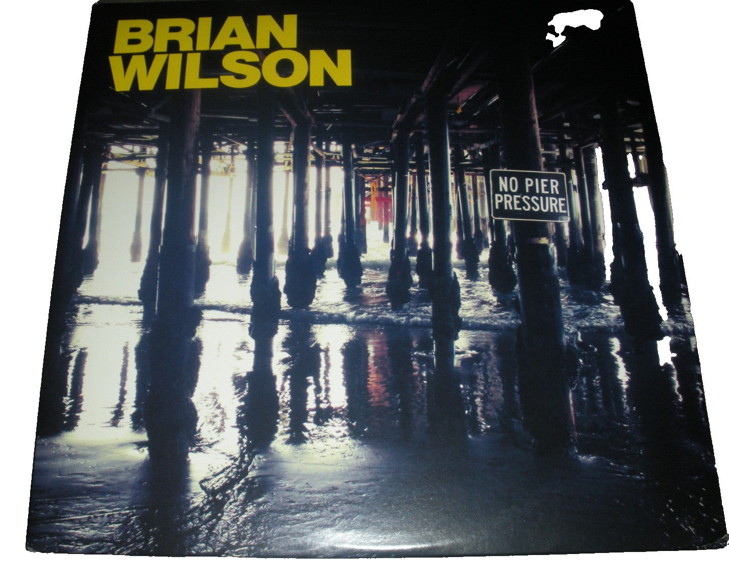 Brian Wilson The Beach Boys No Pier Pressure