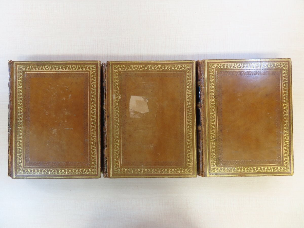 The History Of English Poetry By Thomas Warton - First Edition - 1774-1781 3Vol