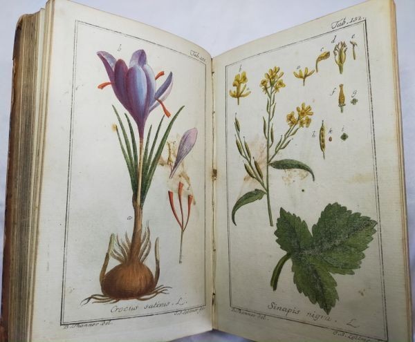 Johannes Zorn Icones Plantarum Medicinalium Vol Ii 1784 2Nd Ed Hand-Colored