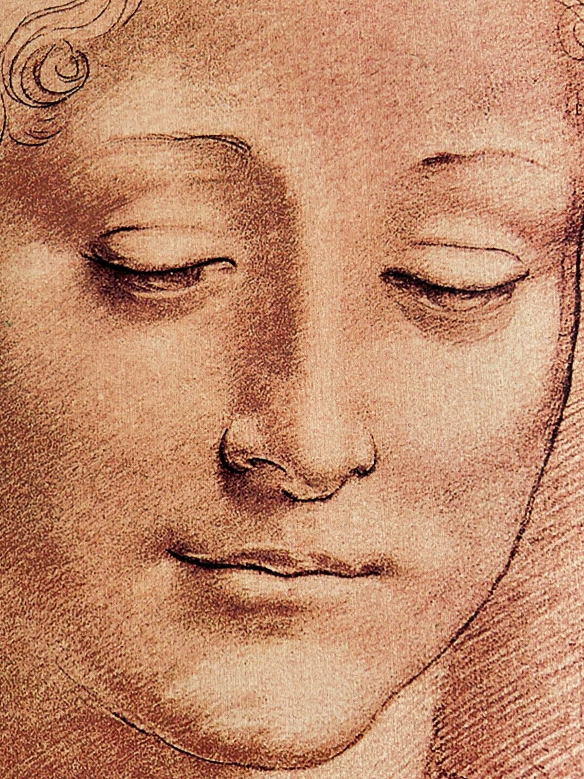 Leonardo Da Vinci Lithograph Coa Signed Numbered