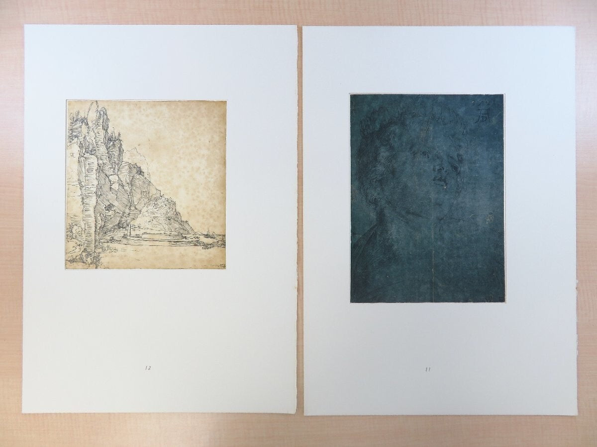 Dodici Acquarelli E Disegni Di Alberto Durer -