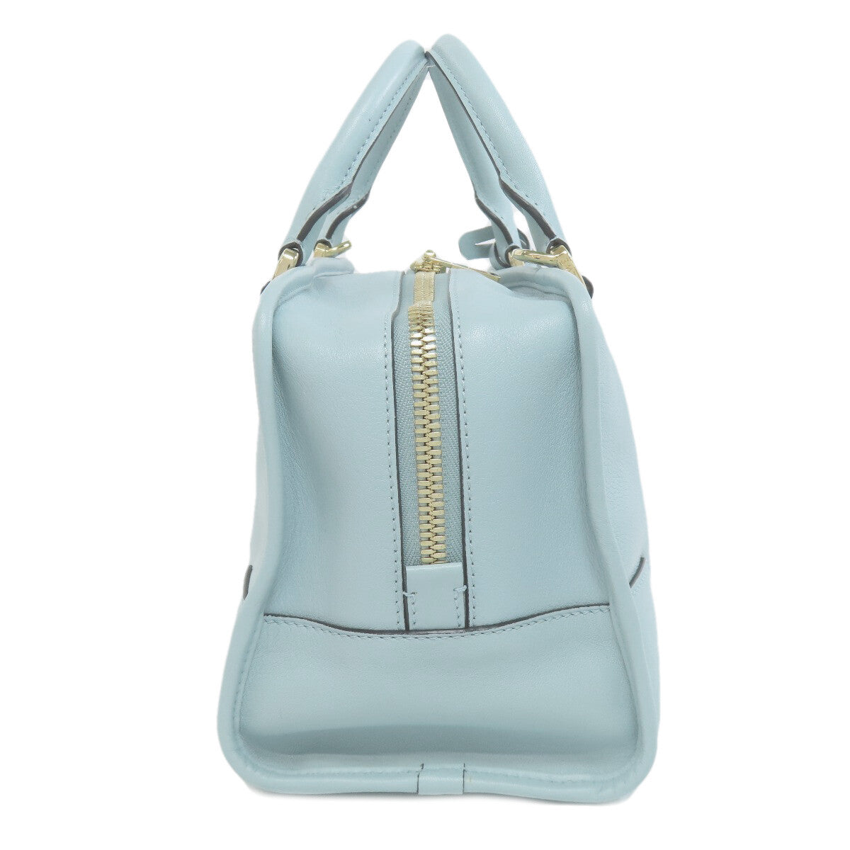 Loewe Handbag Amazona Leather