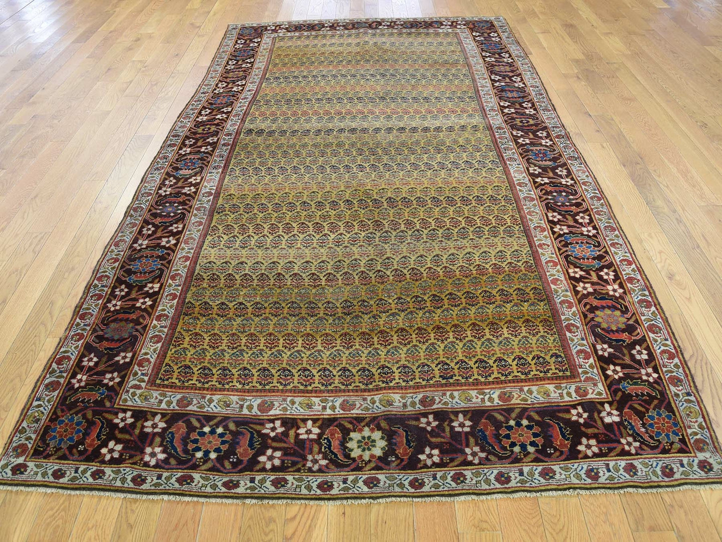 5'1"X9'10" Antique Farsian Bejar Exc Cond Wide Runner Oriental Rug