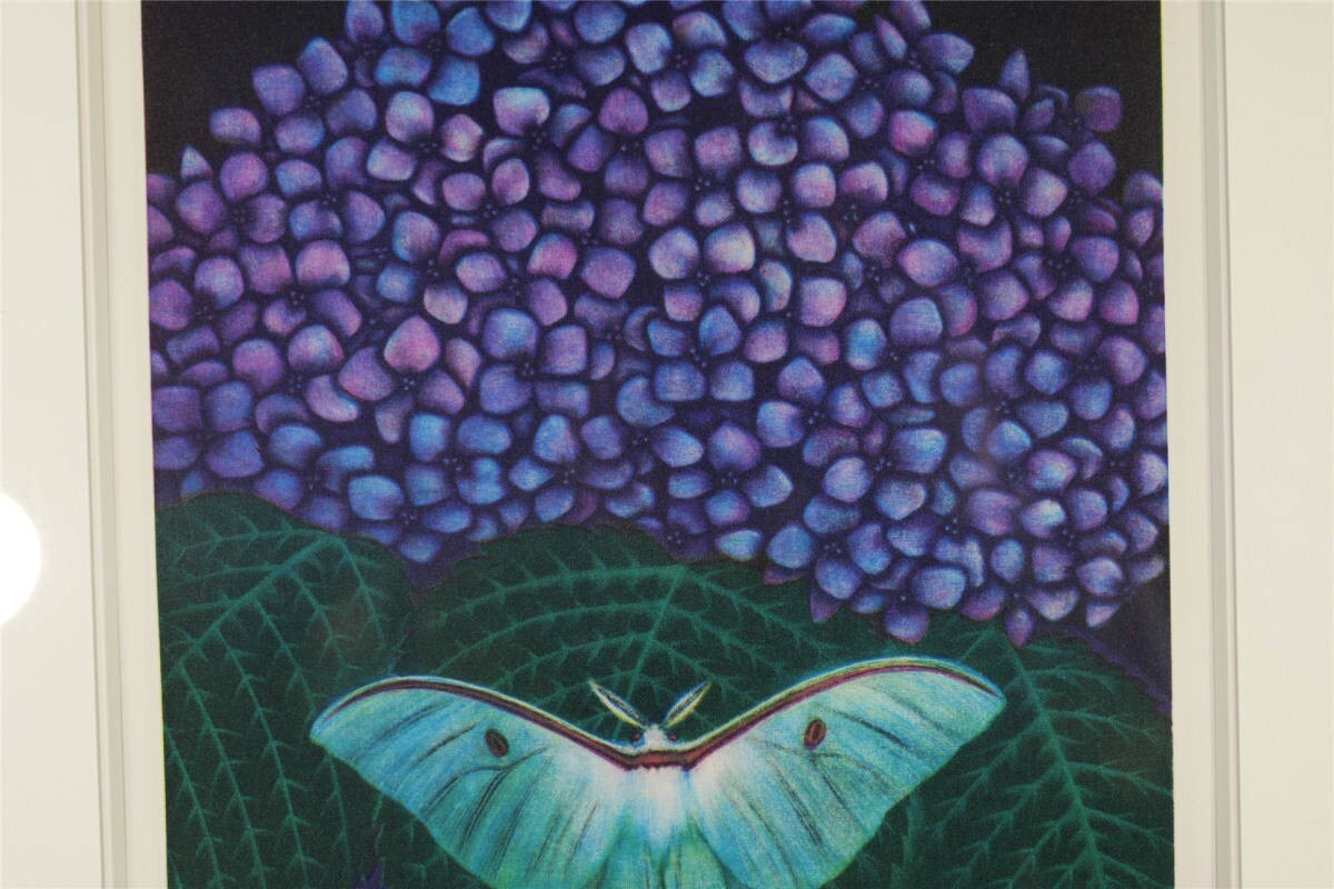 Matazo Kayama 1992 Original Etching Mezzotint