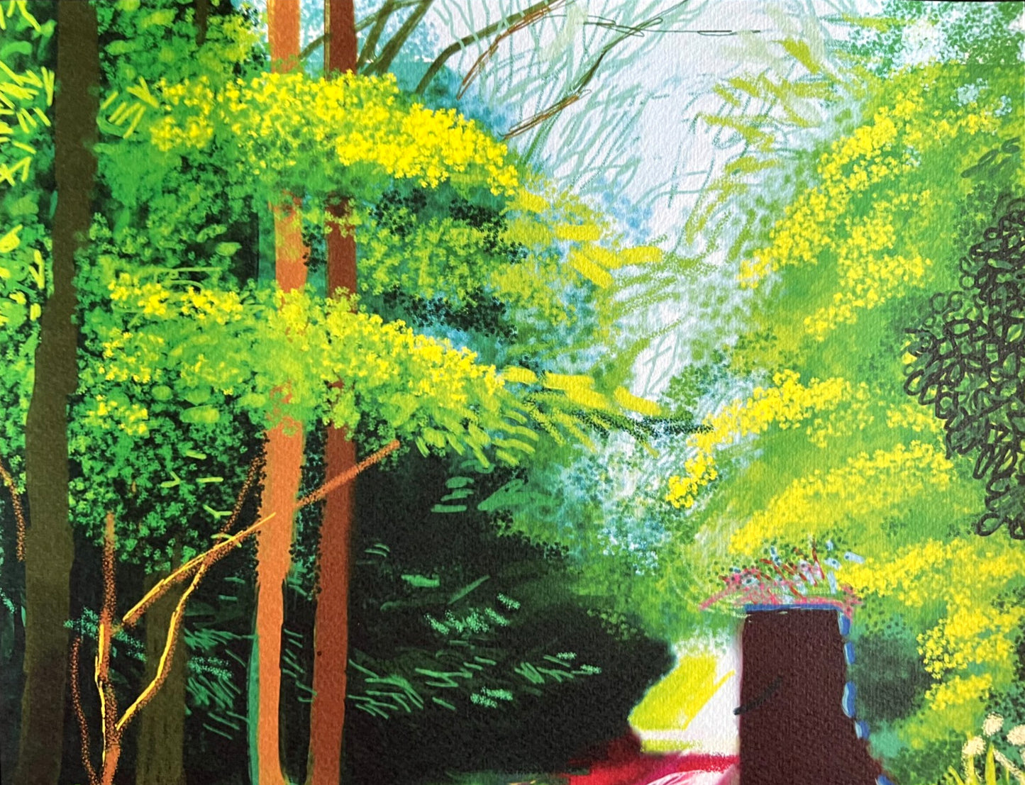 David Hockney Coa Lithograph Signed Op Hand