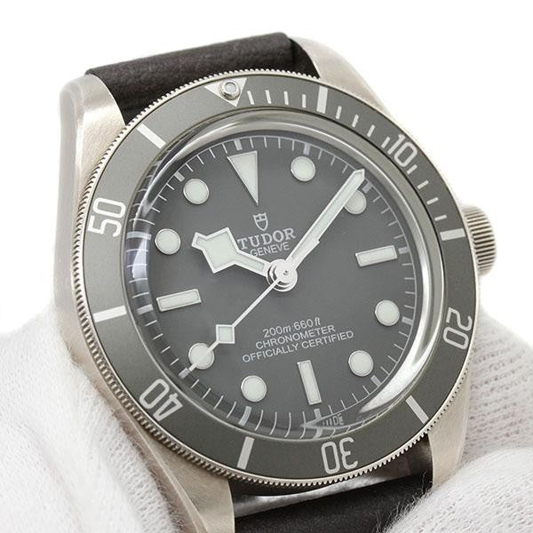 Tudor Black Bay 58 79010Sg Sv925