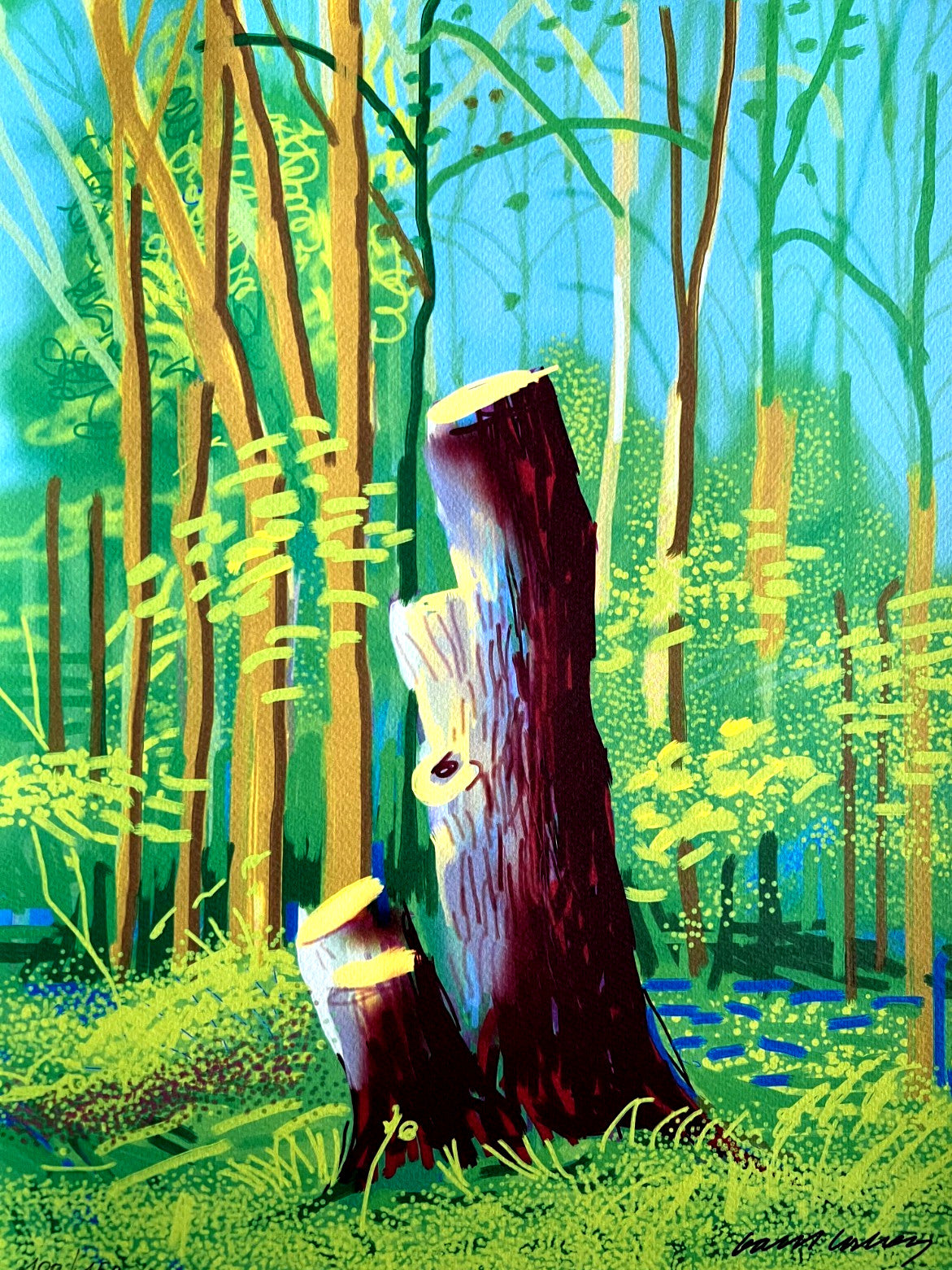 David Hockney Lithograph Coa Signed Op Numbered A