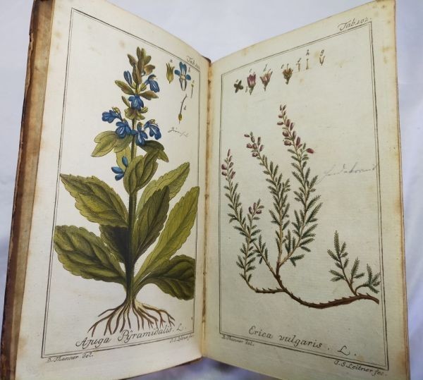 Johannes Zorn Icones Plantarum Medicinalium Vol Ii 1784 2Nd Ed Hand-Colored