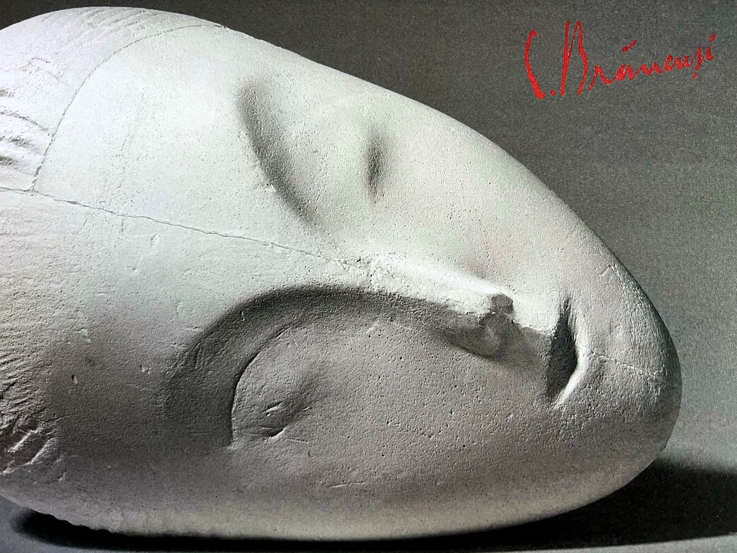 Constantin Brancusi Photograph ''Muse Endormie''