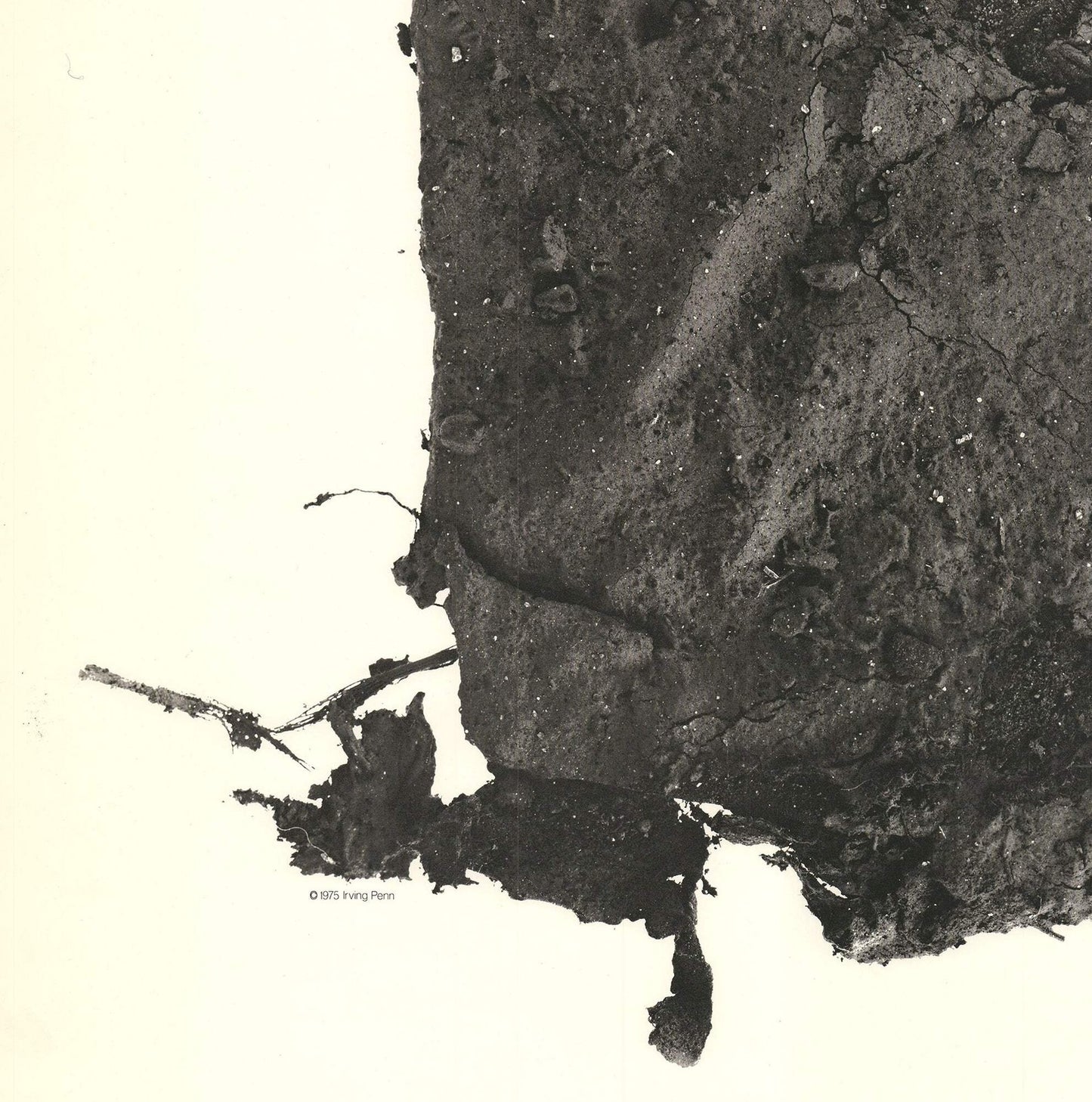 Irving Penn Street Material " Offset Lithograph