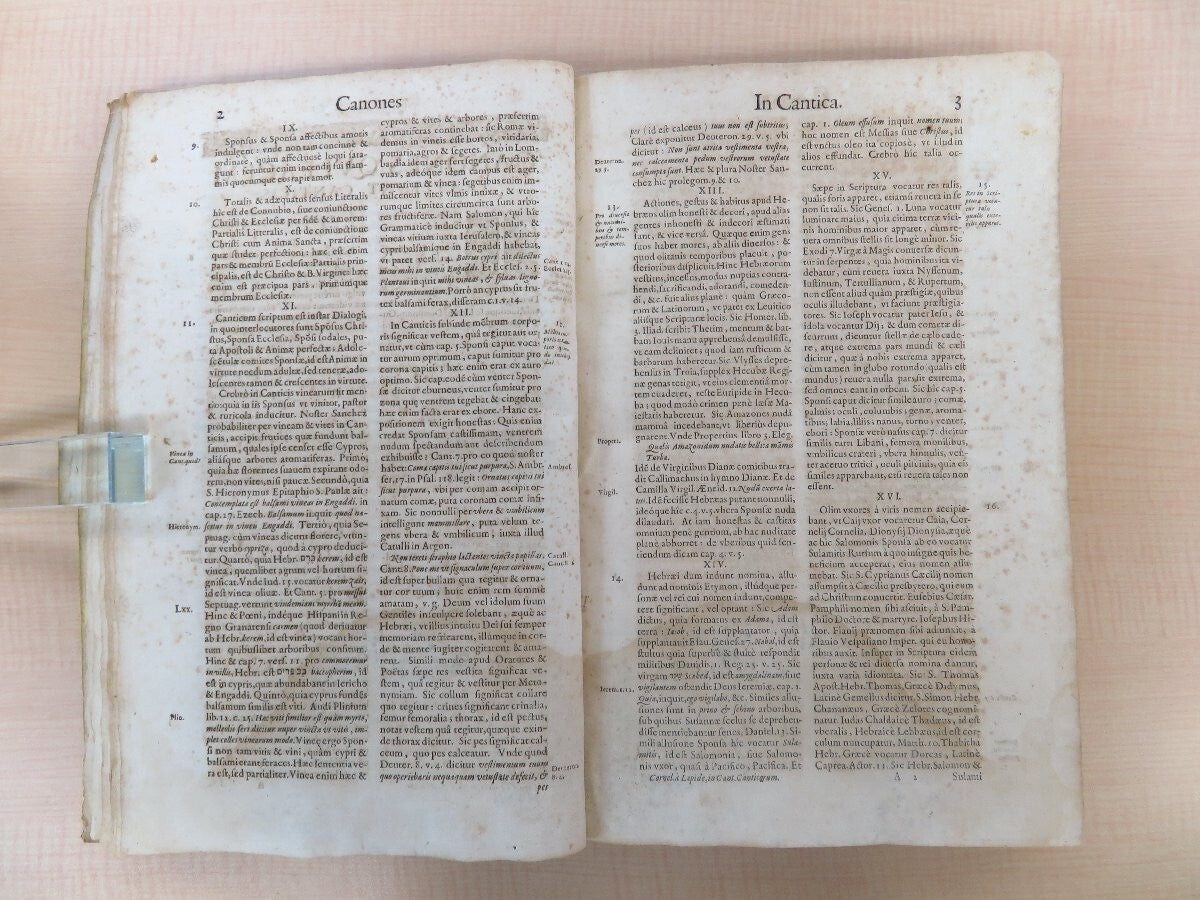 Cornelius A Lapide Commentarii In Canticum