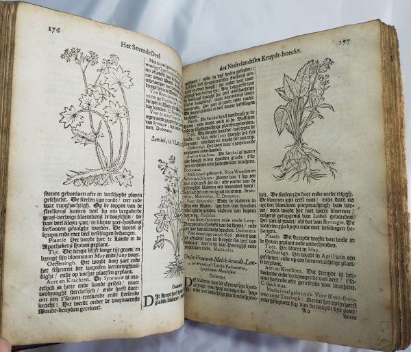 Petrus Nylandt De Nederlandtse Herbarius Kruydt-Boeck 1682 Dutch Herbal With Woo