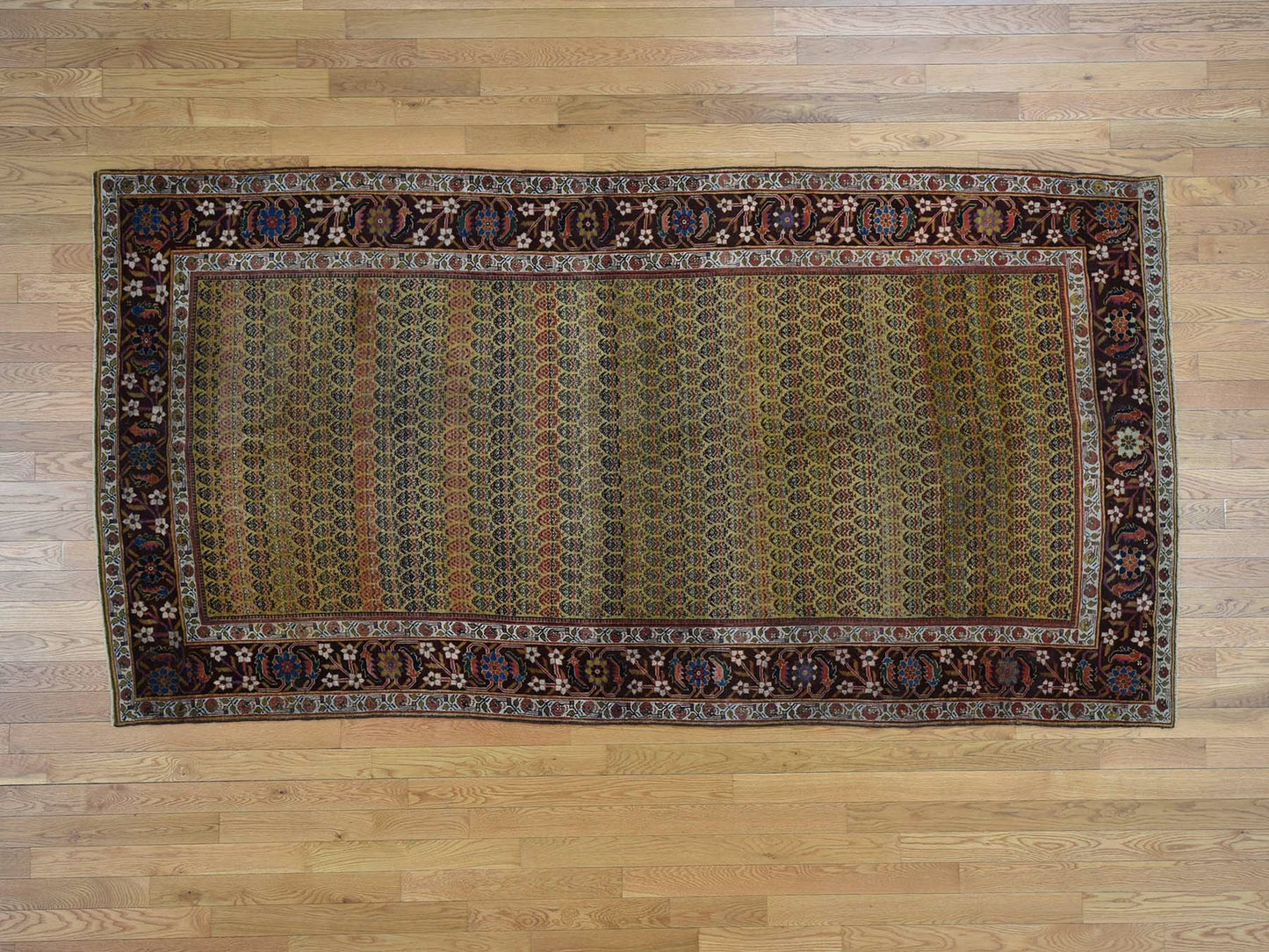 5'1"X9'10" Antique Farsian Bejar Exc Cond Wide Runner Oriental Rug