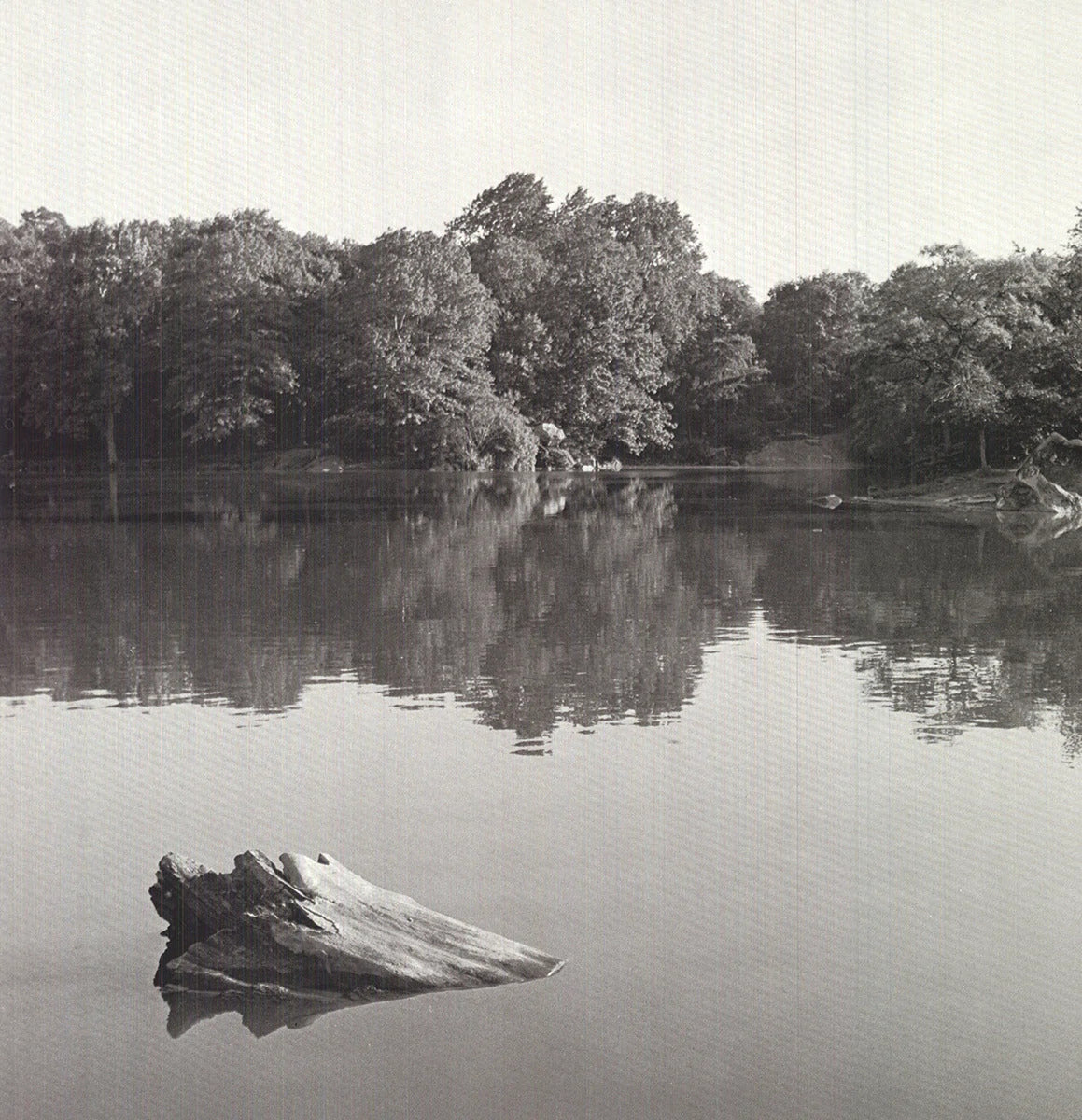 Joel Greenberg Central Park " Offset Lithograph Contemporary New Yo