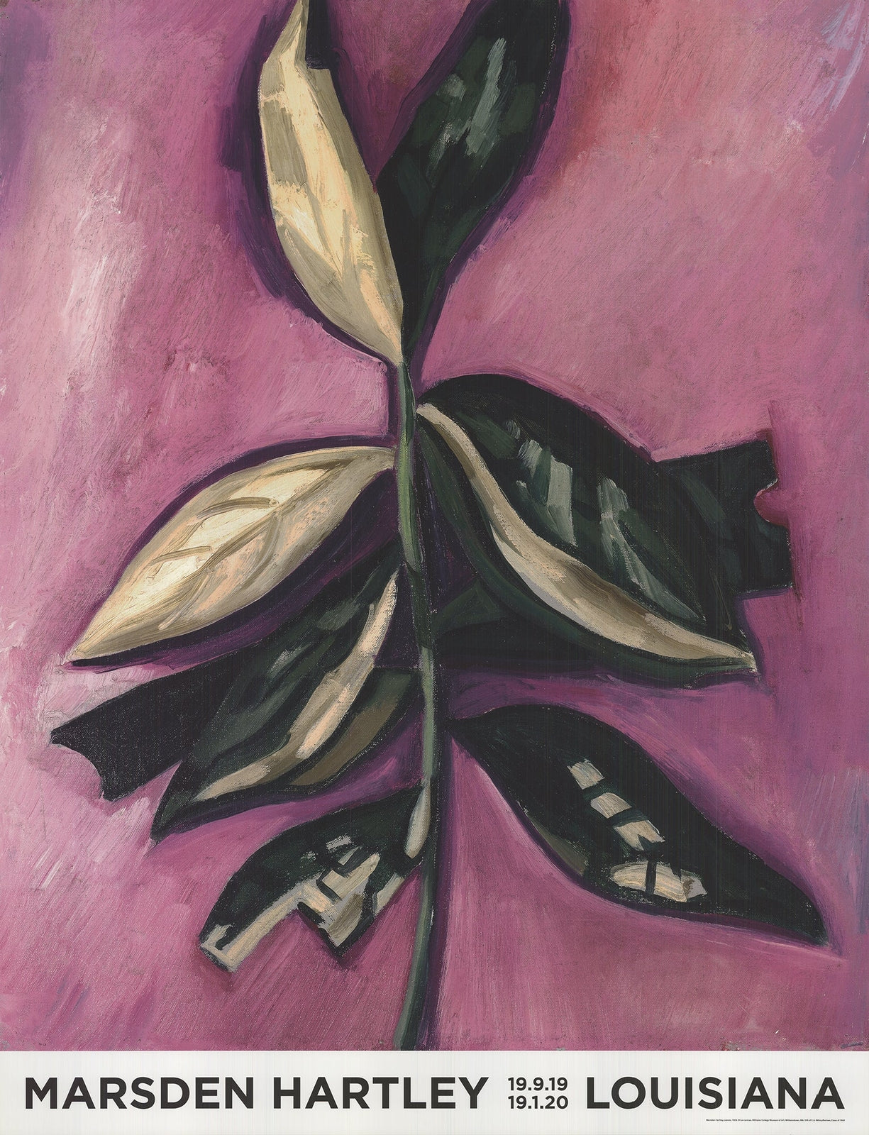 Marsden Hartley Leaves " Offset Lithograph Contemporary Pink, Gr