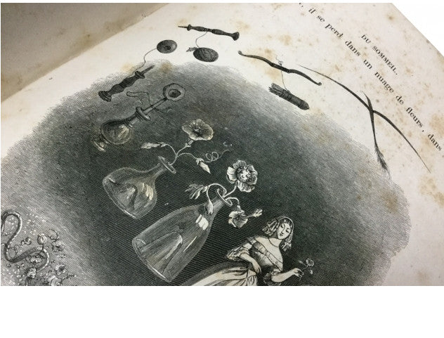 Grandville -Un Autre Monde 1844 1St Edition France Rare 19Th Illustrated Book