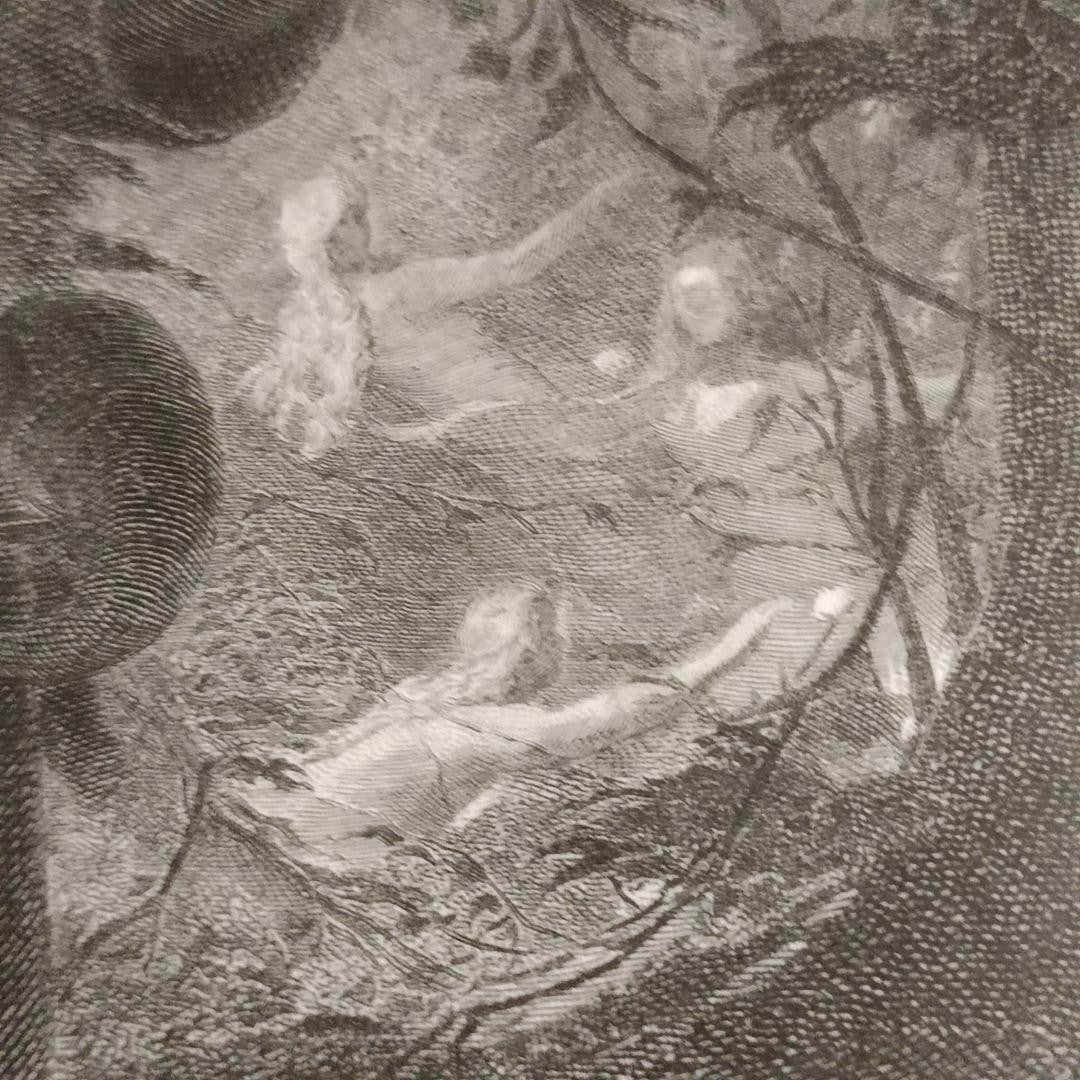 Antique Etching A Midsummer Nights Dream Oberon &