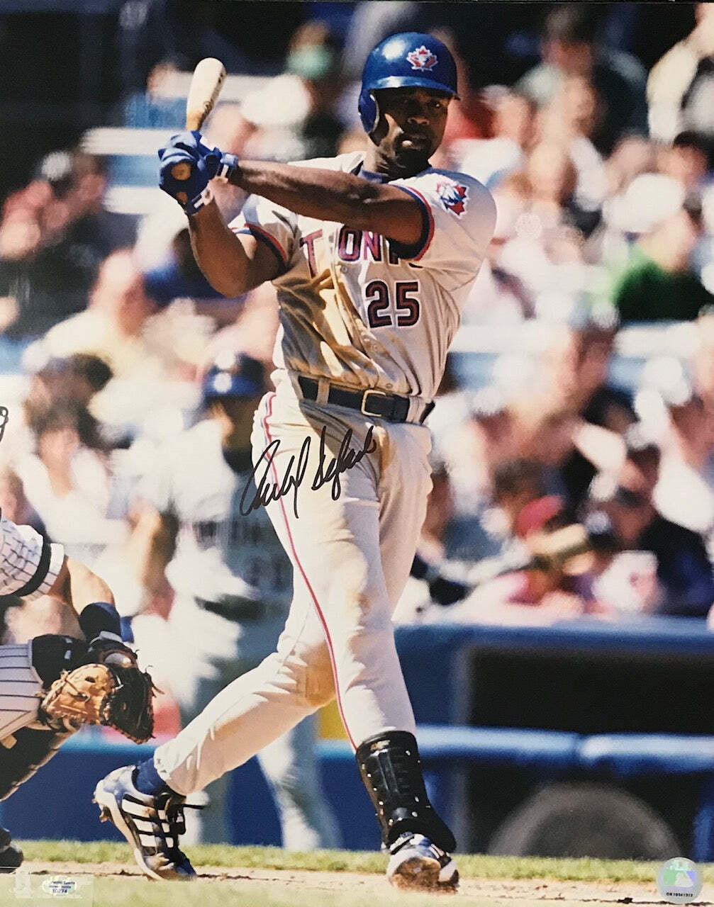 Carlos Delgado Autographed Toronto Blue Jays 16X20 Photo