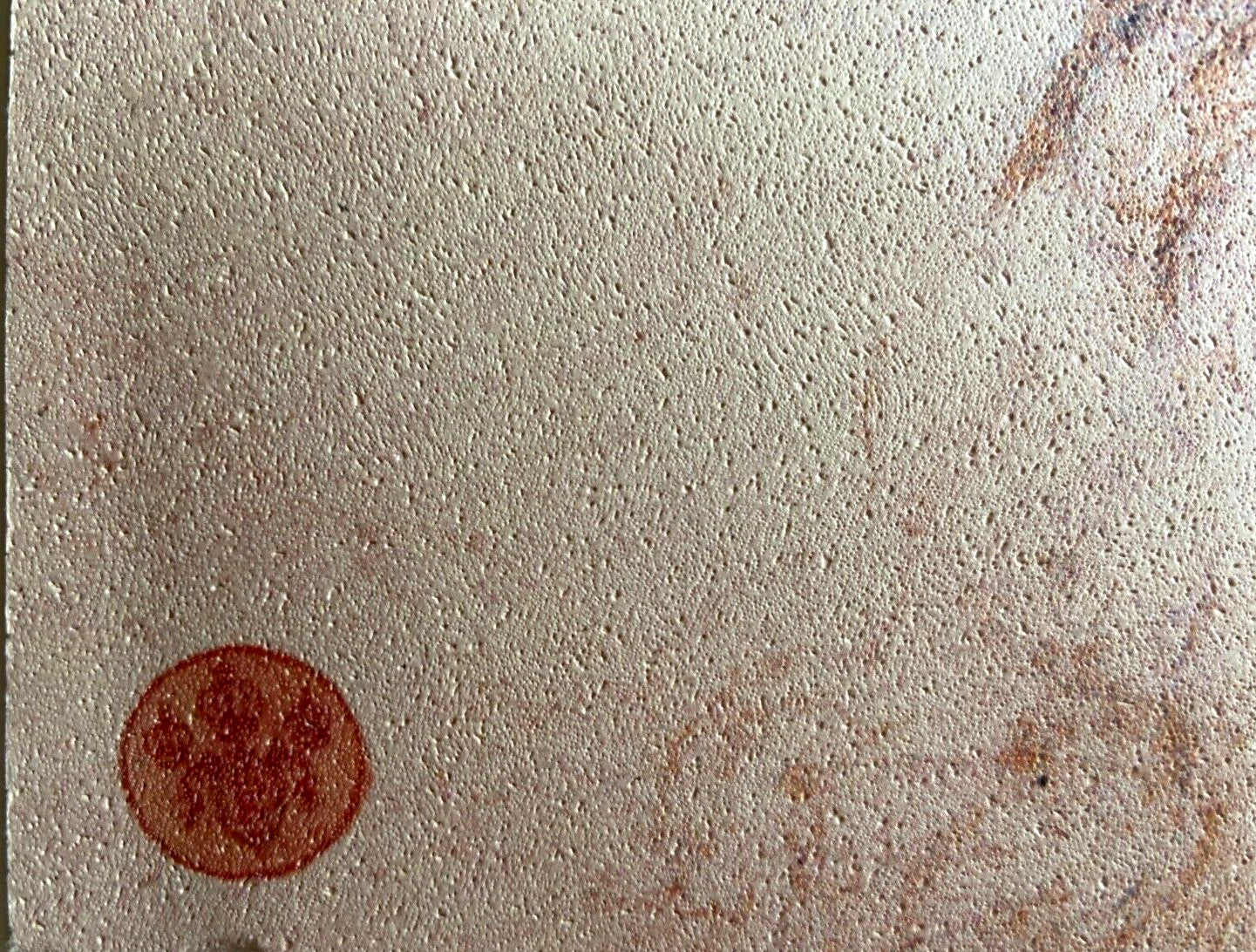 Leonardo Da Vinci Lithograph Coa 1968 Signed