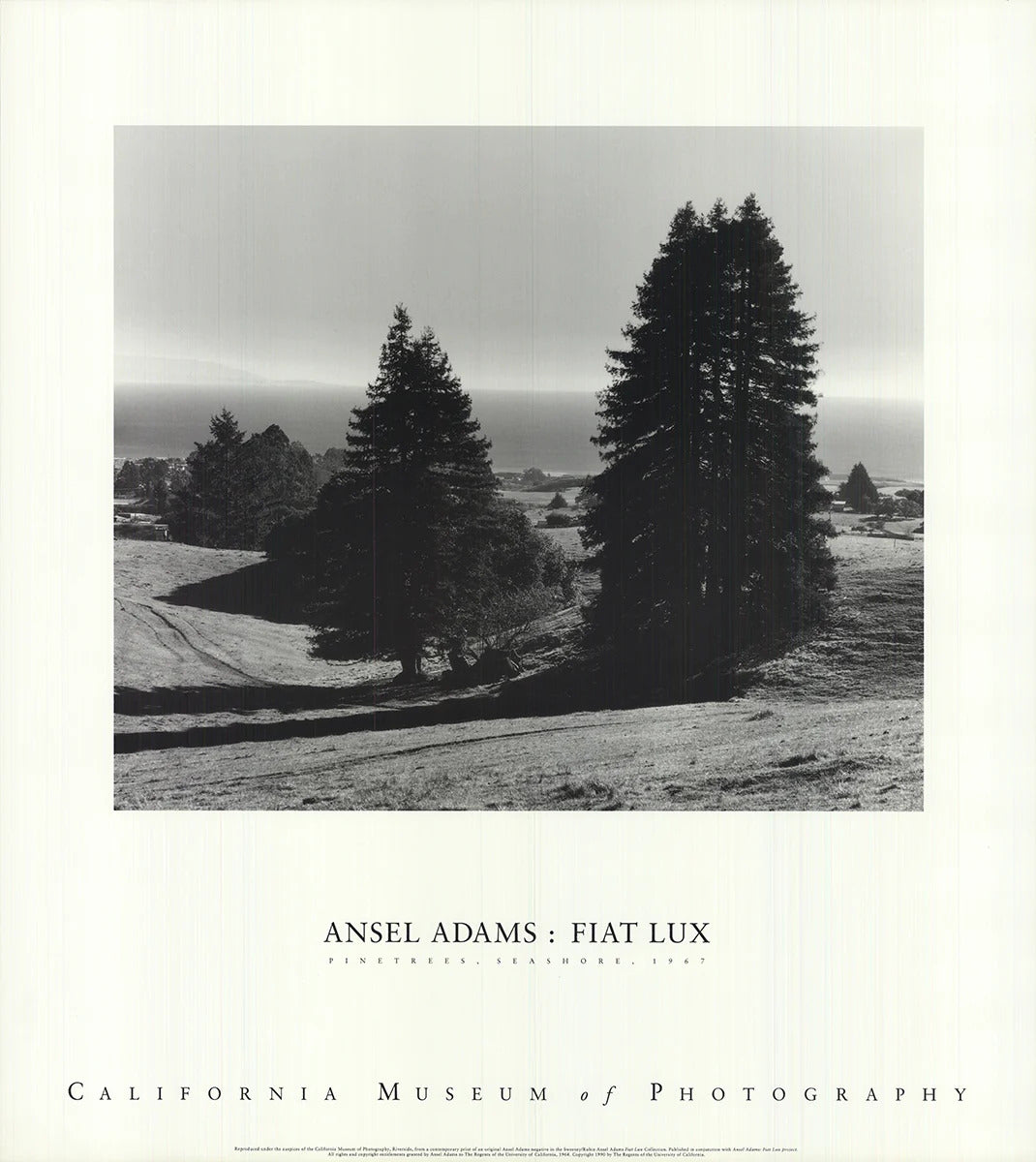 Ansel Adams Pinetrees, Seashore " Offset Lithograph Photography