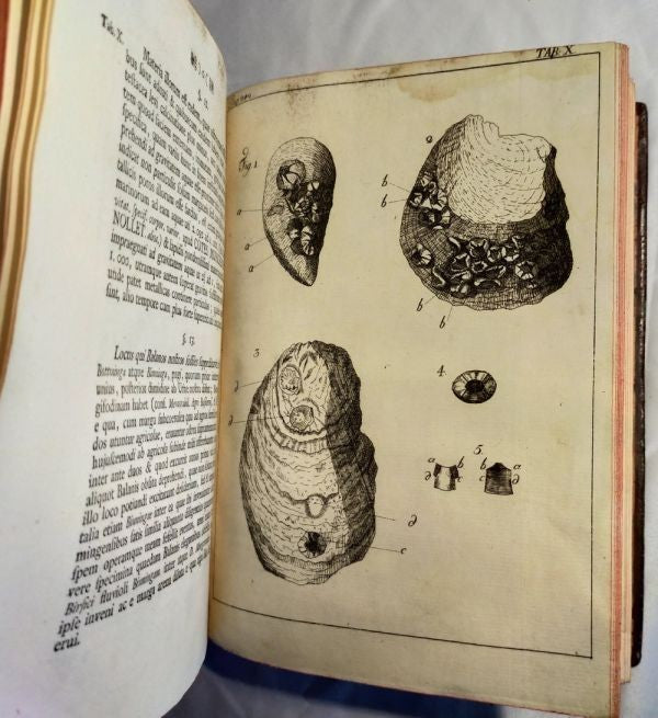 1751/1755 Acta Helvetica Vol.1-2 Basel Scientific Journal Bernoulli Engravings