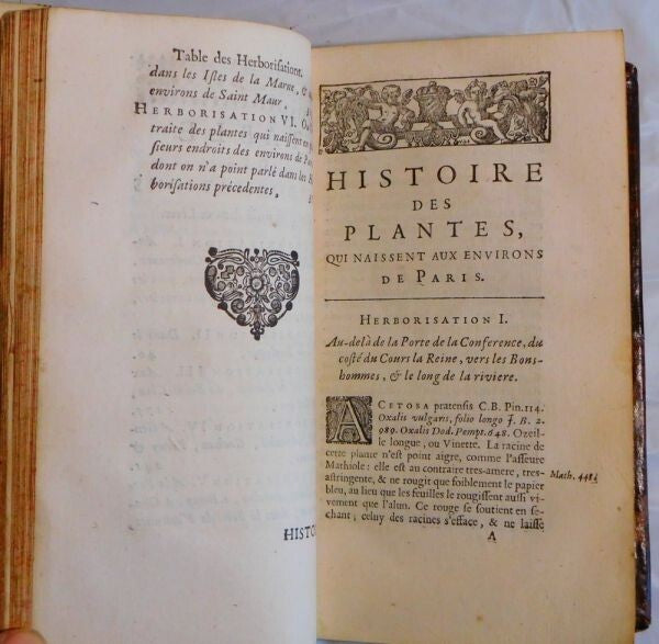 Histoire Des Plantes Qui Naissent Aux Environs De