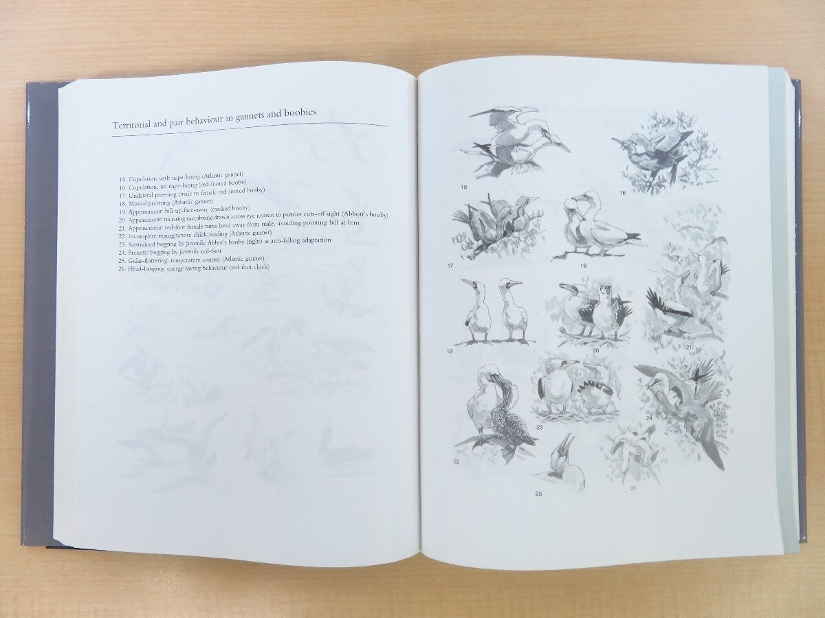 Bird Families Of The World (Set Of 6 Books) 2004 Oxford University Press