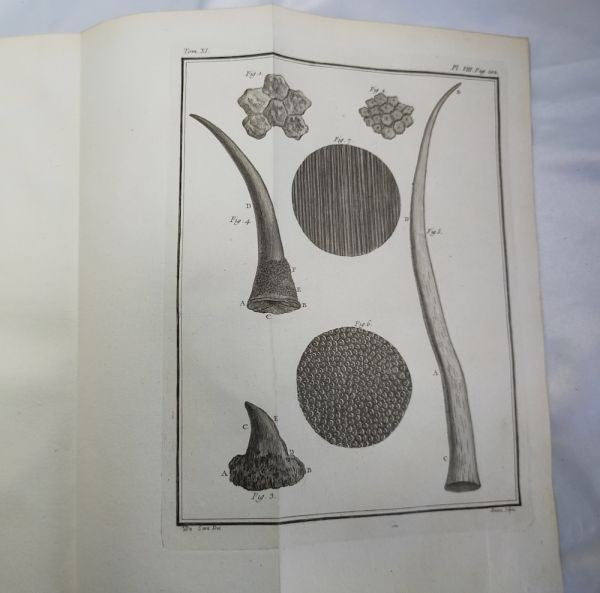1754 Buffon Histoire Naturelle Vol 11 First Ed Elephant Rhino Camel 42 Plates