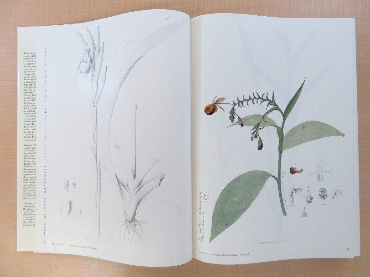 Joao Barbosa Rodrigues :Iconographie Des Orchides