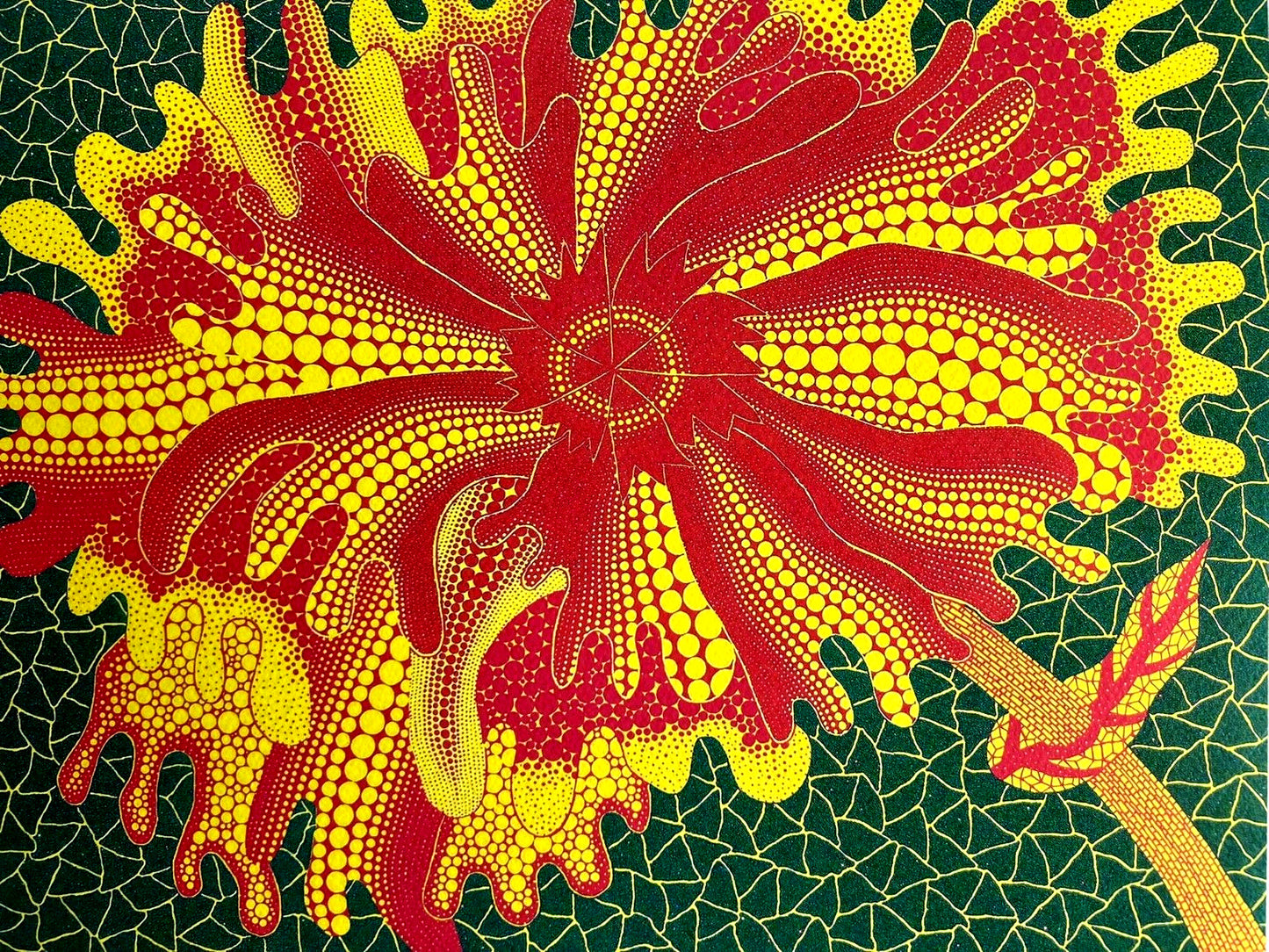 Yayoi Kusama Lithograph Mori Museum Coa Hand
