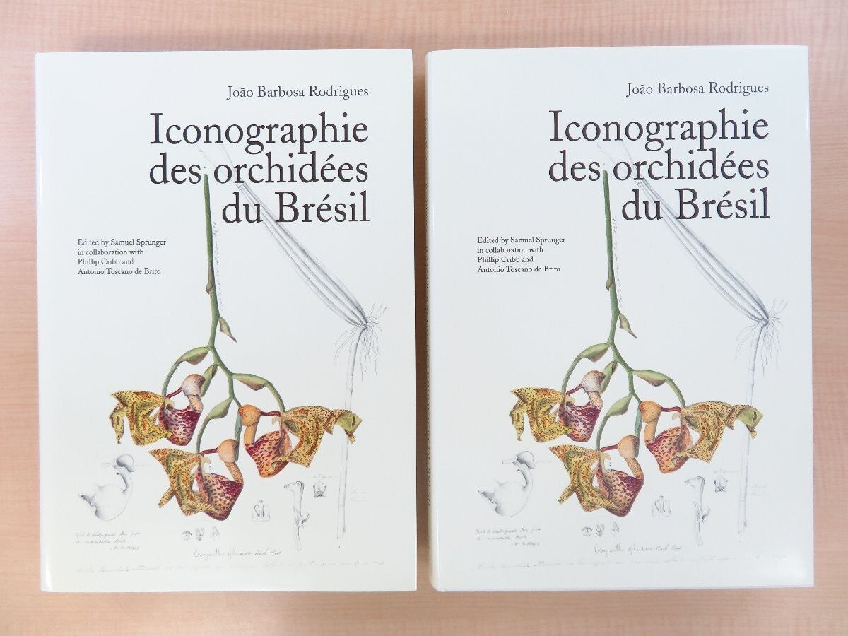 Joao Barbosa Rodrigues :Iconographie Des Orchides