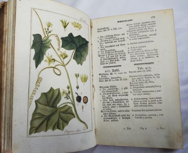 Johannes Zorn Icones Plantarum Medicinalium Vol V 1784 1St Ed Hand Colored Plate