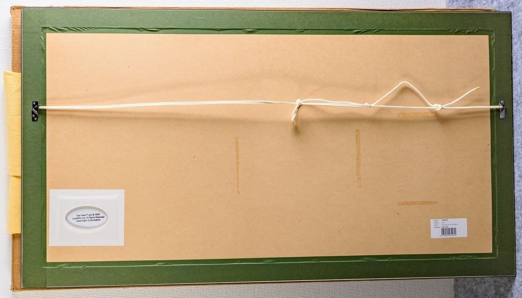 Drew Struzan "Star Wars Ep.4 TV Guide Cover" Original Giclee Art Print Framed