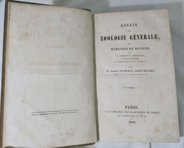 Isidore Geoffroy Saint-Hilaire Essais Zoologie Generale 1841 W Handcolored Plate